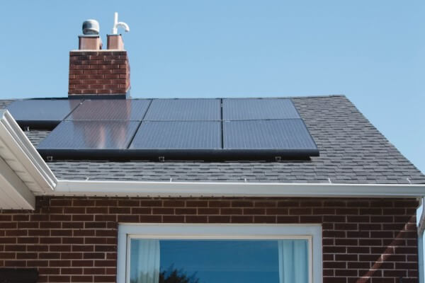 PEST CONTROL BOREHAMWOOD, Hertfordshire. Services: Solar Panel Bird Proofing. Secure Your Solar Panels Against Avian Damage with Local Pest Control Ltd's Tailored Bird Proofing Services in Borehamwood